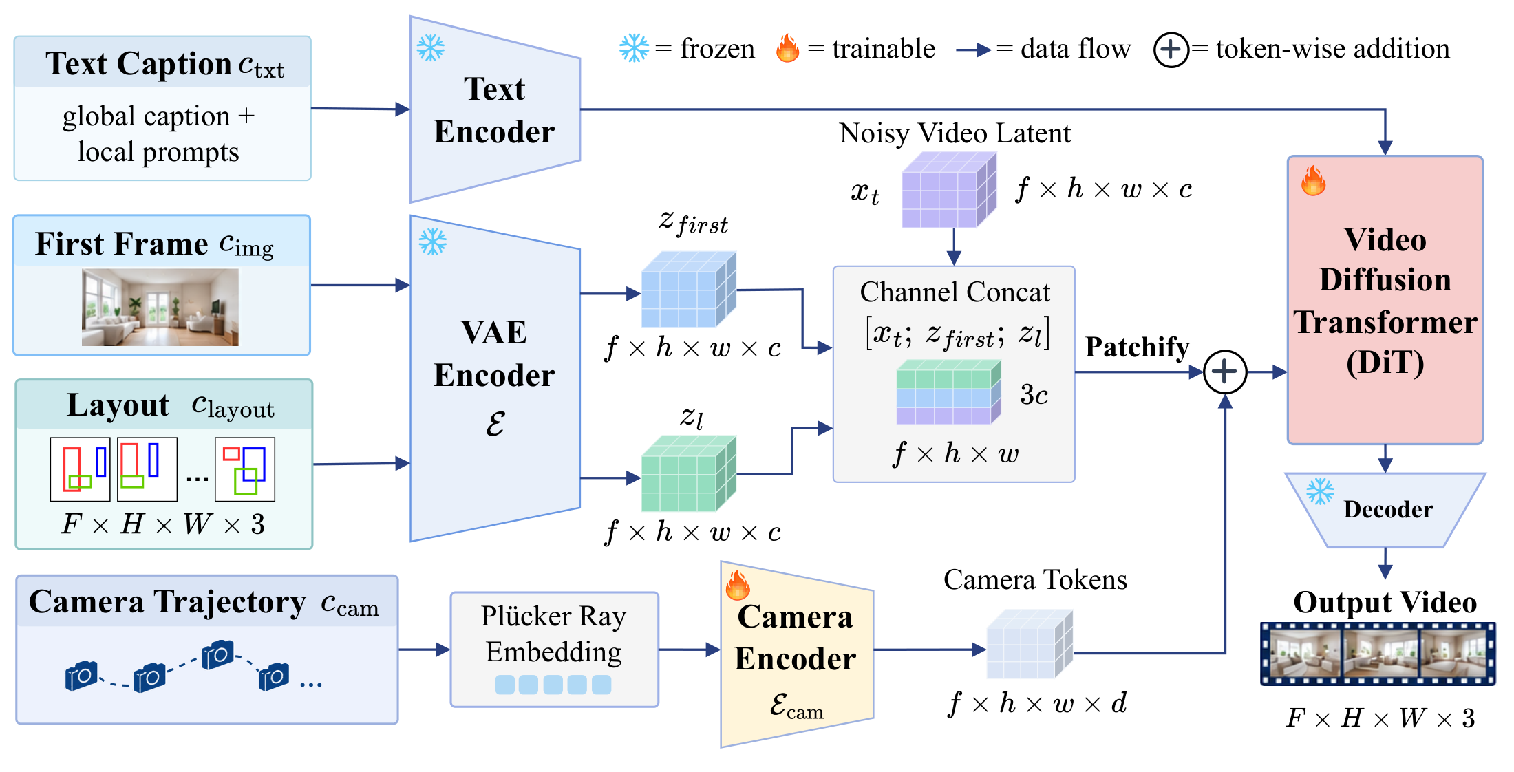 Model architecture: layout latent concatenated with the noisy video latent and the first-frame latent, camera tokens added to the DiT stream, local prompts appended to the caption.